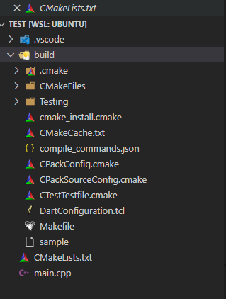 cmake build directory